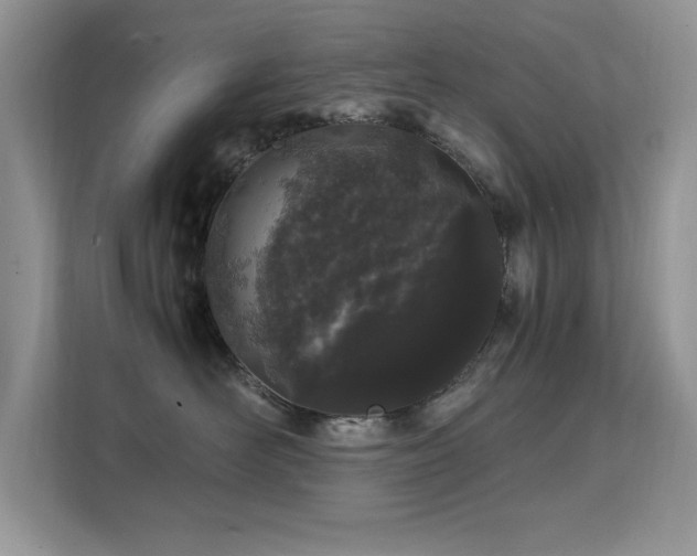 X0000112210526200908071456