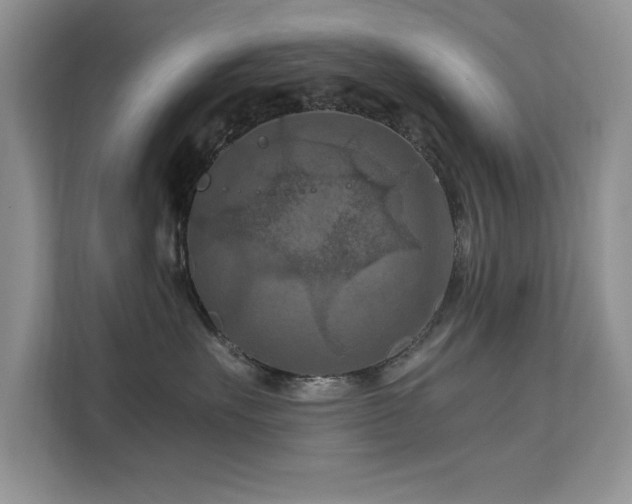 X0000112210527200908071456