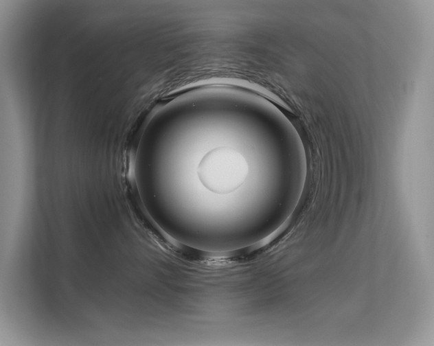 X0000112210528200908071456
