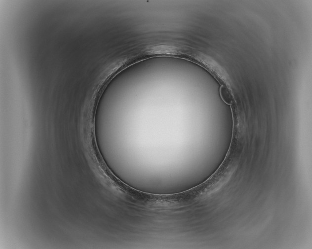 X0000112210529200908071456