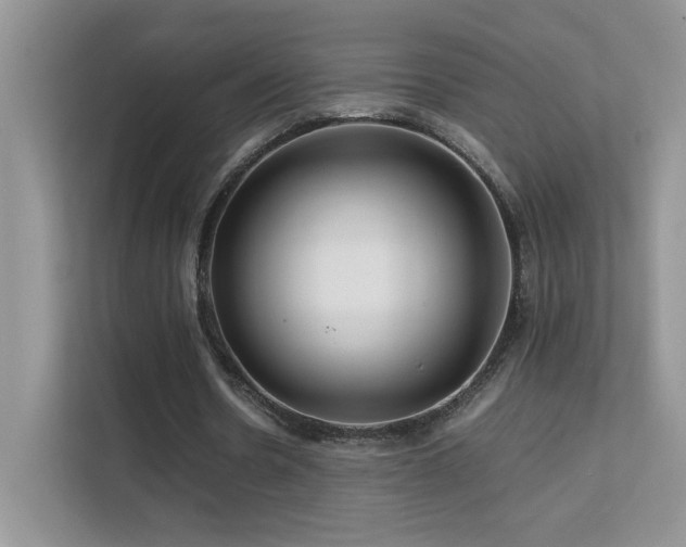 X0000112210530200908071456