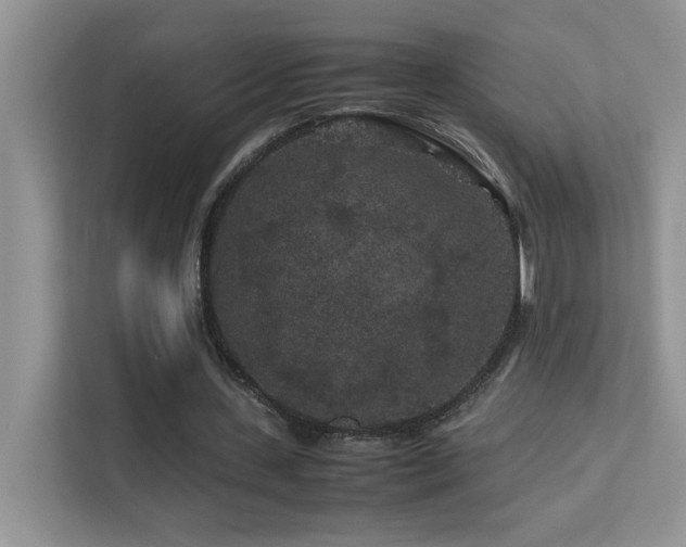 X0000112210531200908071456