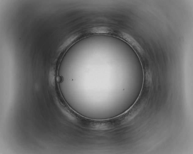 X0000112210533200908071456