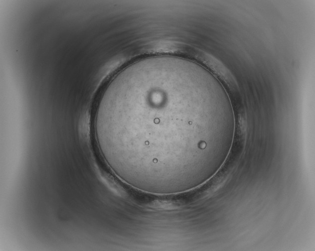 X0000112210534200908071456
