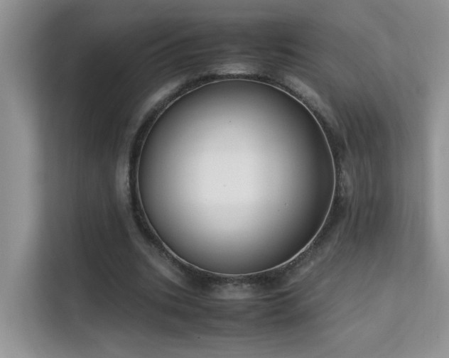 X0000112210535200908071456