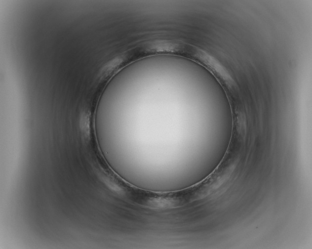 X0000112210537200908071456