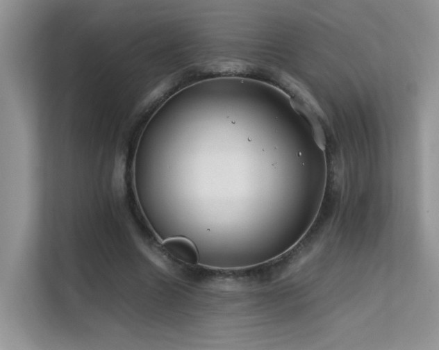 X0000112210538200908071456