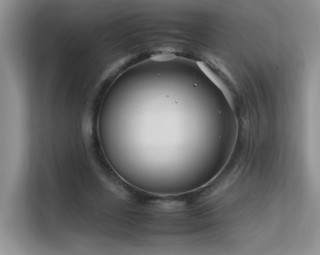 X0000112210539200908071456