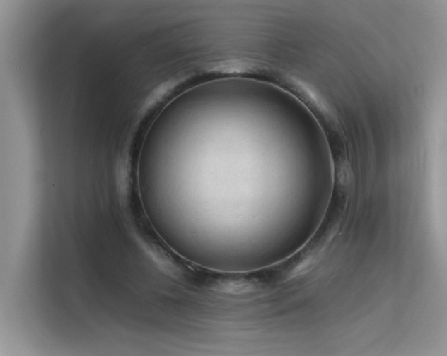 X0000112210540200908071456