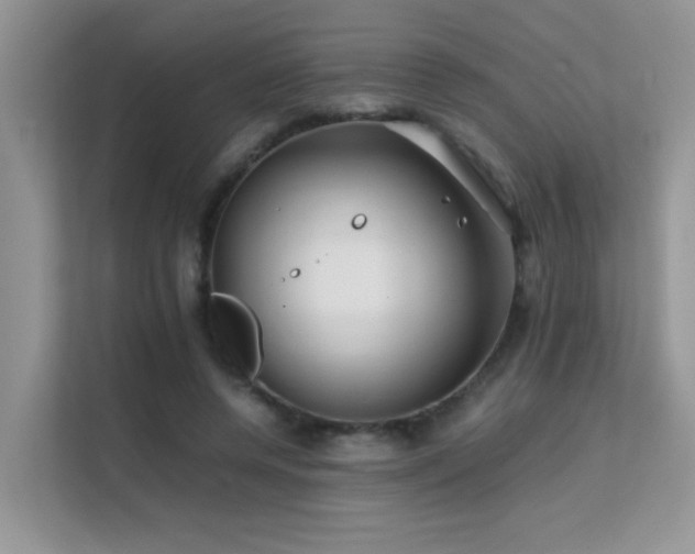 X0000112210544200908071456