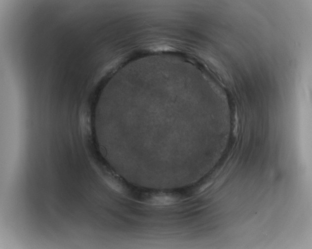 X0000112210547200908071456