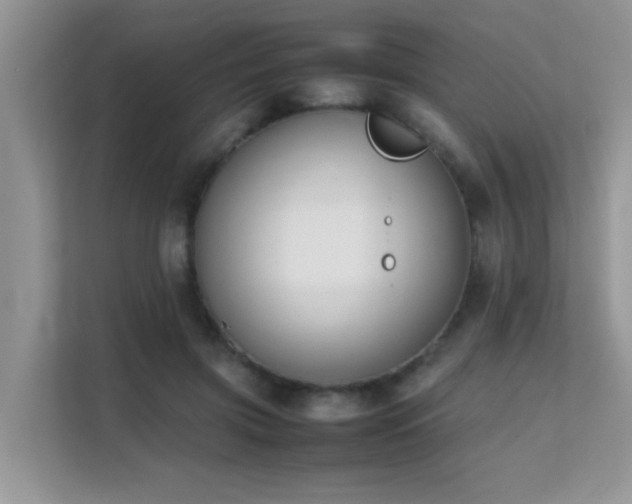X0000112210549200908071456