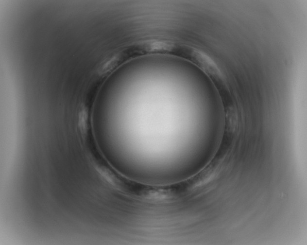 X0000112210550200908071456