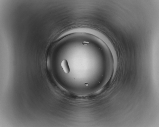 X0000112210552200908071456