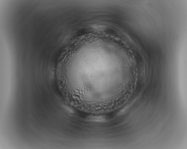 X0000112210553200908071456