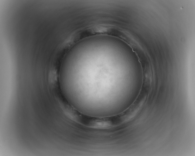 X0000112210555200908071456