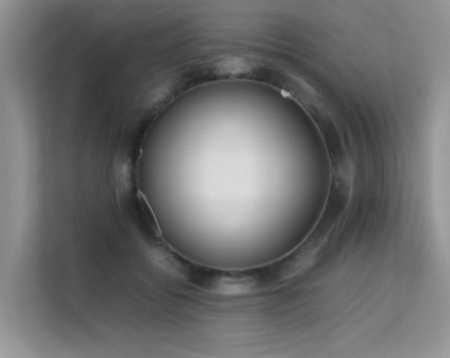 X0000112210556200908071456