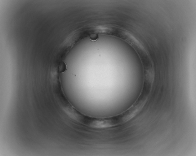 X0000112210557200908071456