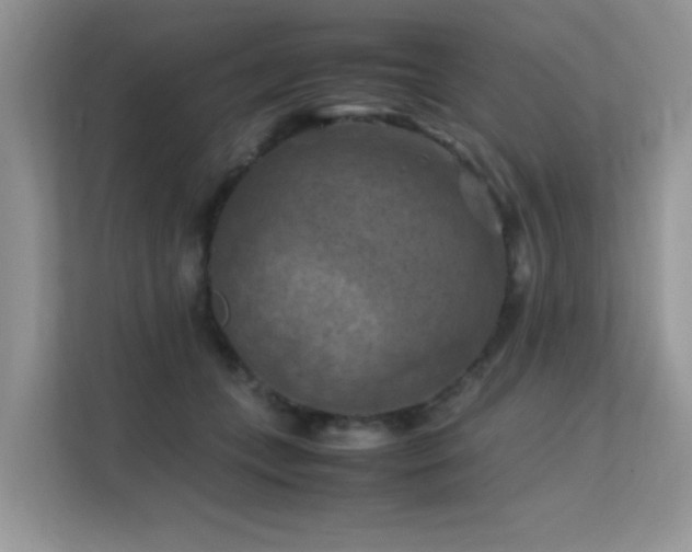 X0000112210559200908071456