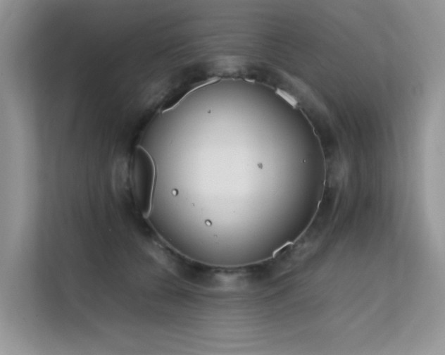 X0000112210560200908071456