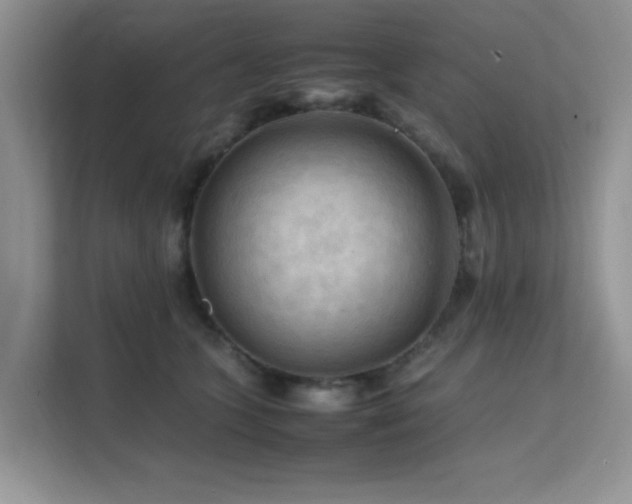 X0000112210563200908071456