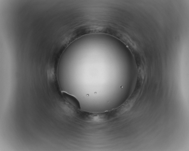 X0000112210564200908071456