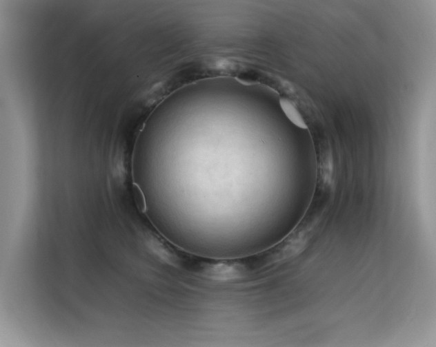 X0000112210566200908071456