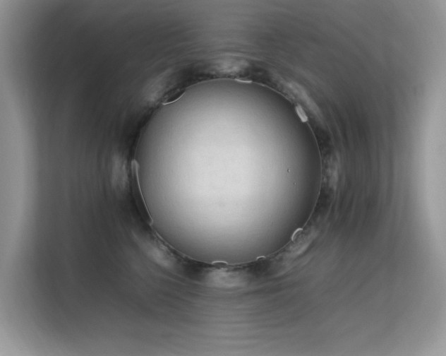 X0000112210568200908071456