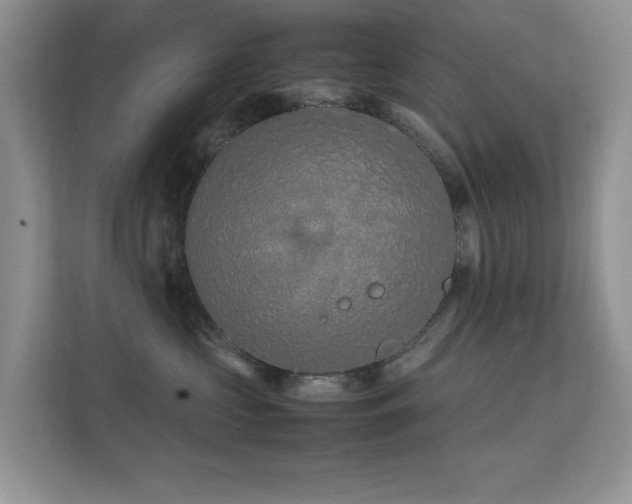 X0000112210573200908071456