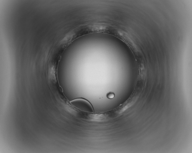 X0000112210575200908071456