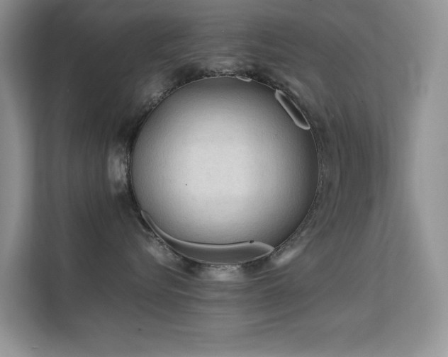 X0000112210576200908071456