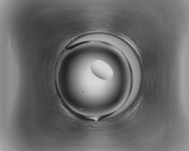 X0000112210577200908071456
