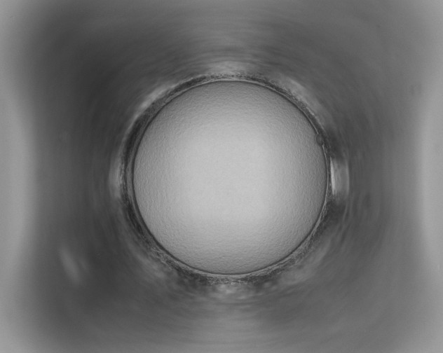 X0000112210579200908071456
