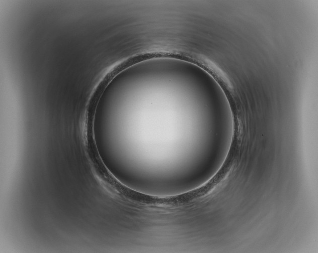 X0000112210580200908071456