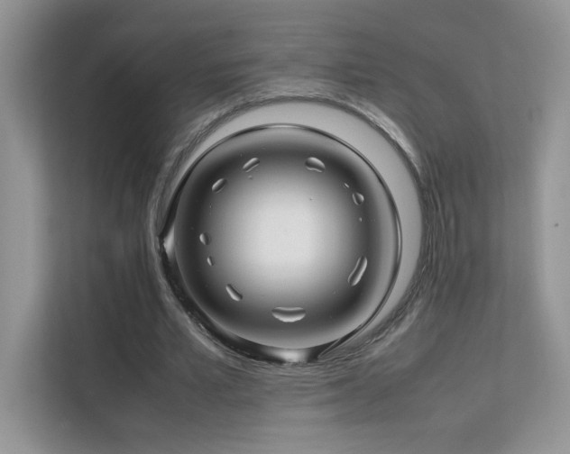 X0000112210581200908071456