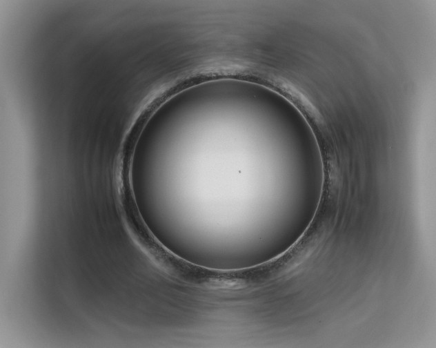 X0000112210582200908071456