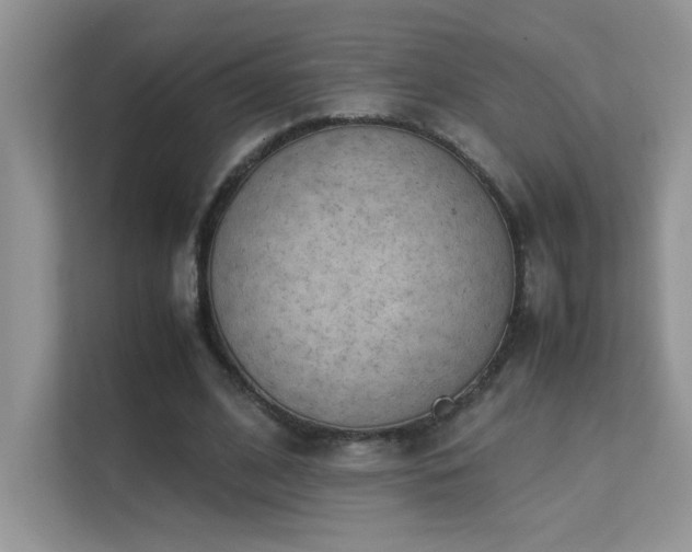 X0000112210584200908071456