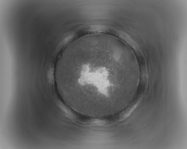 X0000112210585200908071456