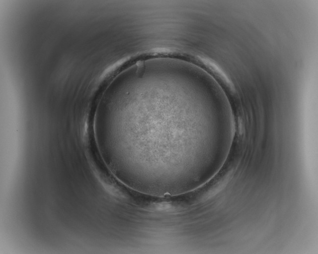 X0000112210588200908071456