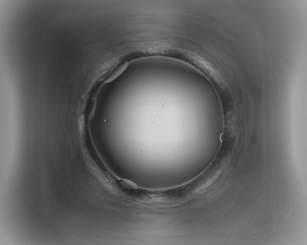 X0000112210589200908071456