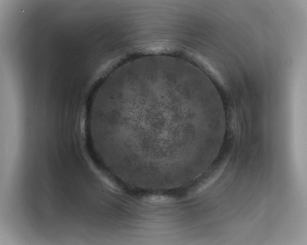 X0000112210590200908071456