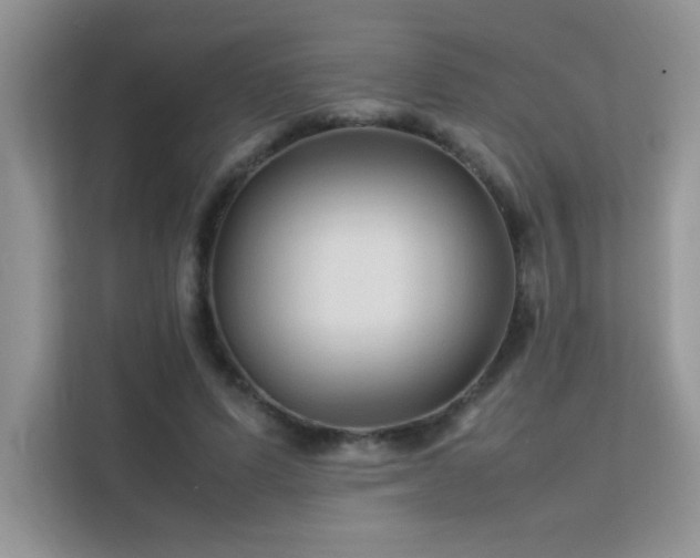 X0000112210591200908071456