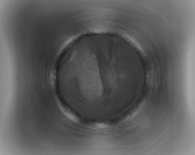 X0000112210592200908071456
