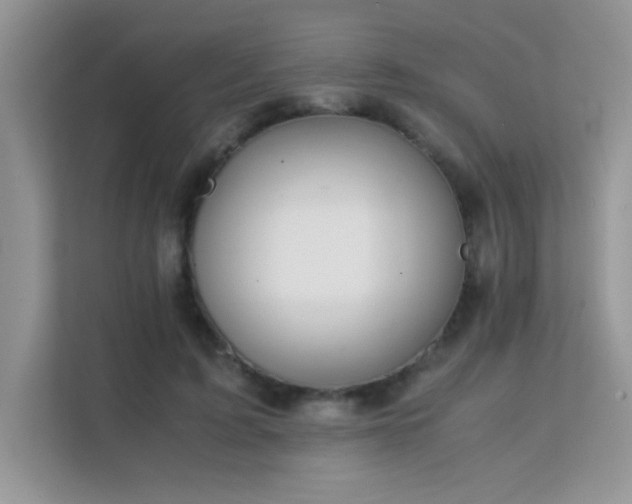 X0000112210595200908071455