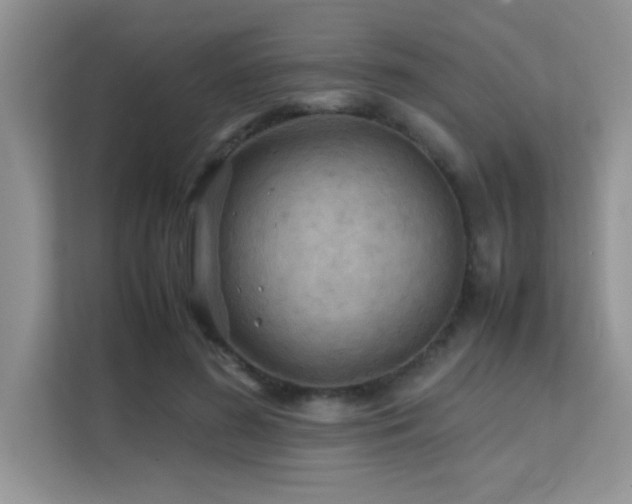 X0000112210596200908071455