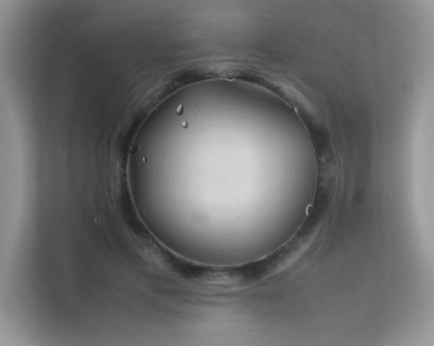 X0000112210597200908071455