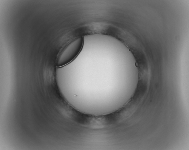 X0000112210599200908071455