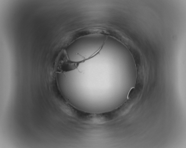 X0000112210601200908071455