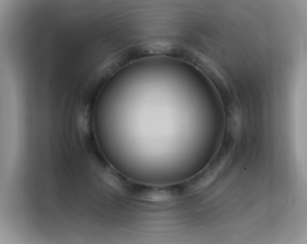 X0000112210604200908071455