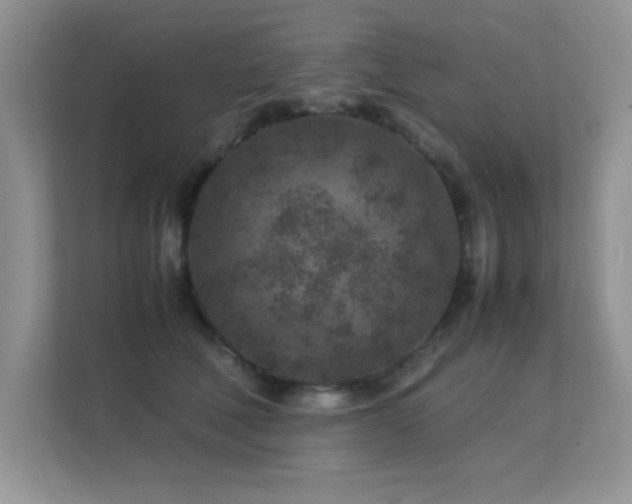 X0000112210610200908071455